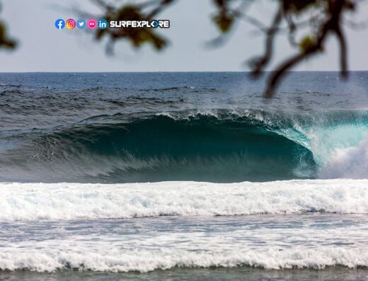 International Surf Travel Consultant