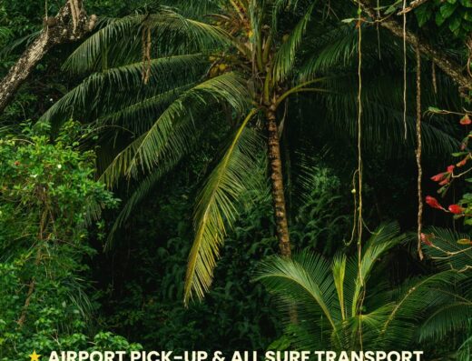 Roots & Rails – Jamaica Surf Experience (Jan 26th-Feb 1st)