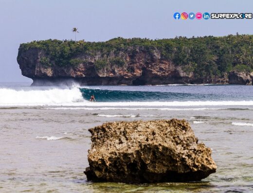 International Surf Travel Consultant
