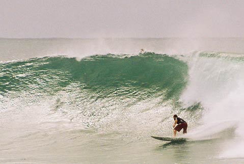 Garden Route Surf Adventure