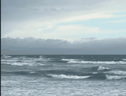 Tribu del Mar Experience — Surf, Yoga, Community.
