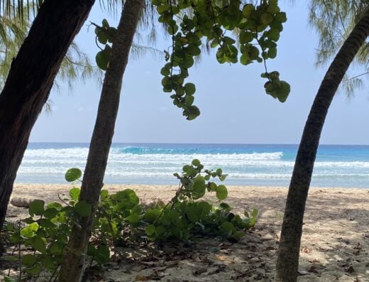 Barbados Island Surf Tour