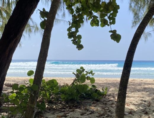 Barbados Island Surf Tour
