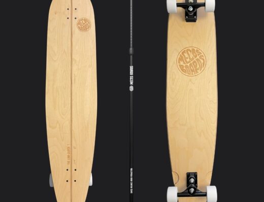 THE LAND SURFER SET WITH LAND PADDLE