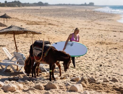 Surf Day Trip from Marrakech to Essaouira