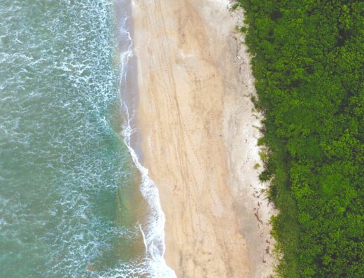 Somos Surfistas (Surf Experience)
