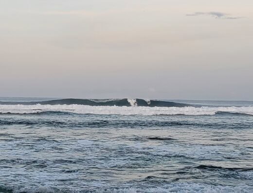 Surf lessons