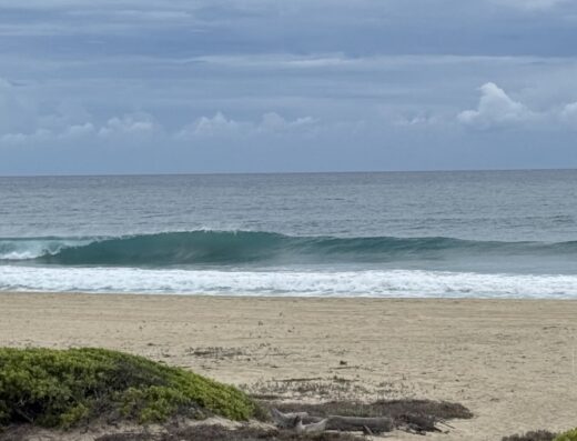Surf guiding for all levels