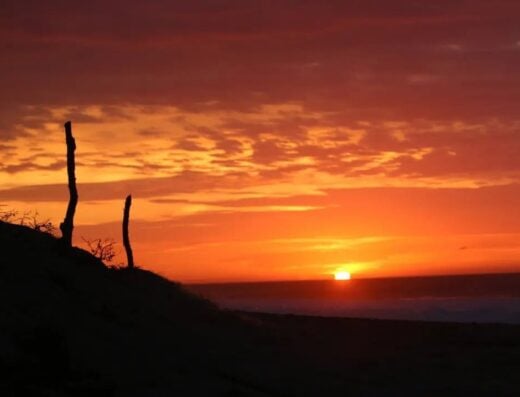 Sunset at Casa Faro Cabo Blanco featuring a stunning sky with warm hues and silhouettes of driftwood, creating a peaceful coastal scene perfect for relaxation and nature lovers.