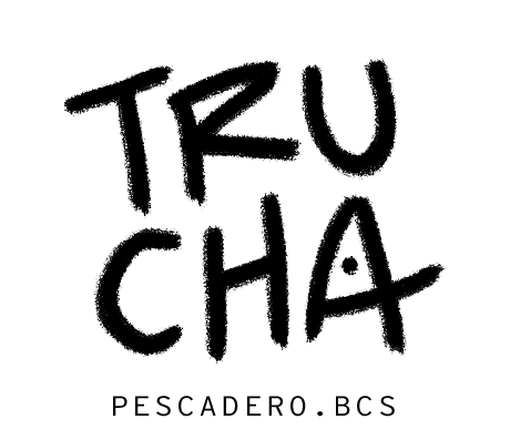 Surf lessons in Baja