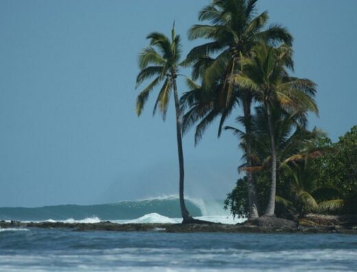 A scenic view of palm trees on the shoreline at Nyang Ebay Surf Camp, Siberut, with ocean waves and clear skies, ideal for surfing and tropical beach activities.