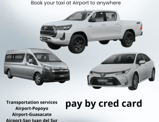 Reliable taxi services by Waverii for airport transfers and tours, offering convenient transportation options for travelers in the Monkeys Travel and Tours region.