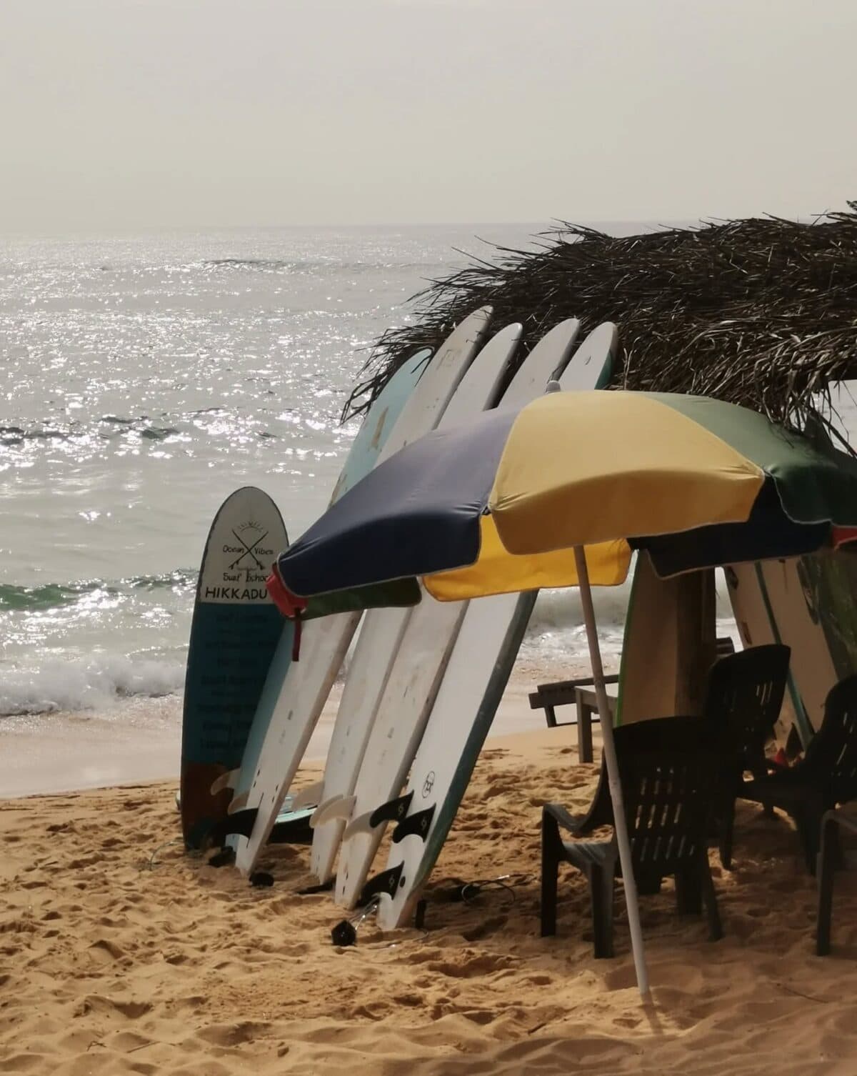 Surfboard Rentals in Hikkaduwa, Sri Lanka