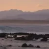 Surfari Mexico